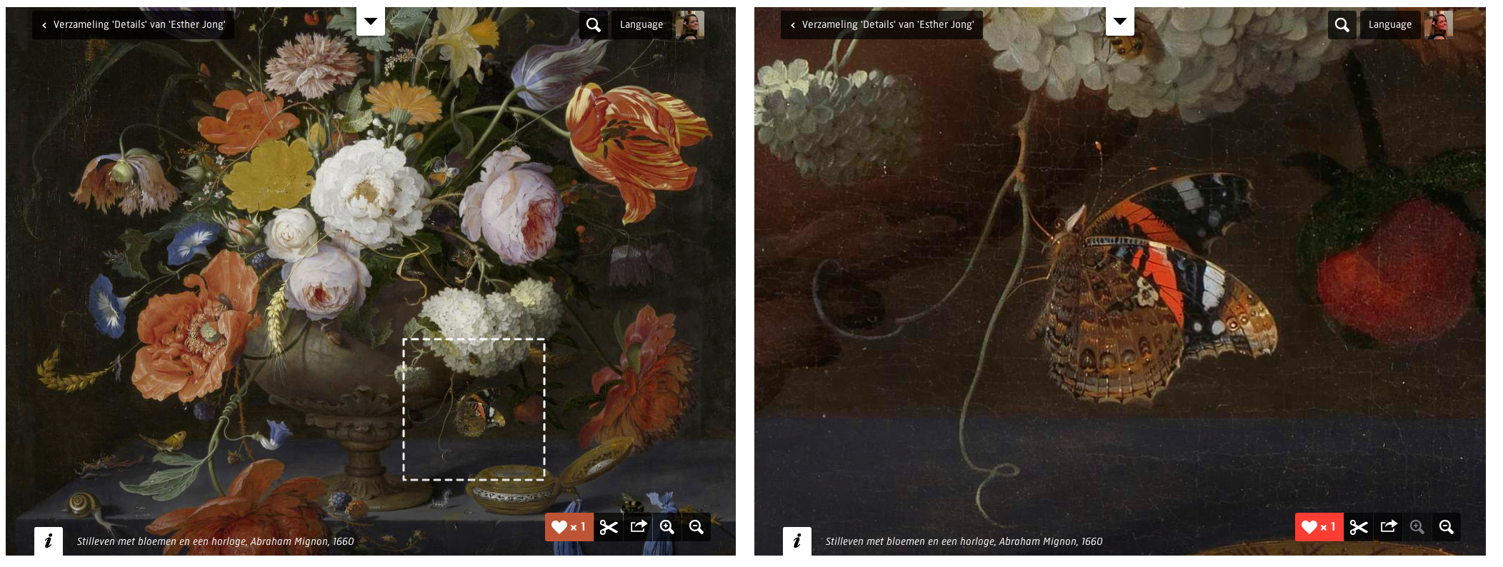 Showing screenshots of the Rijksstudio (left flowers, right a butterfly)
