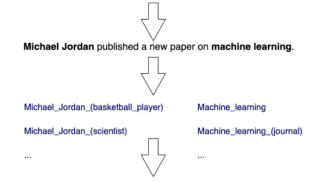 Michael Jordan is a basketball player but there is also a Michael Jordan who is a scientist. When Michel Jordan publishes on machine learning, one should select the entity 'Michel Jordan the scientist'. 