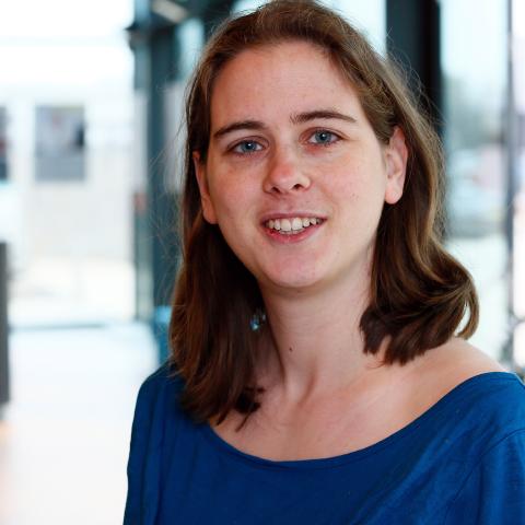 Dr Annemieke Romein